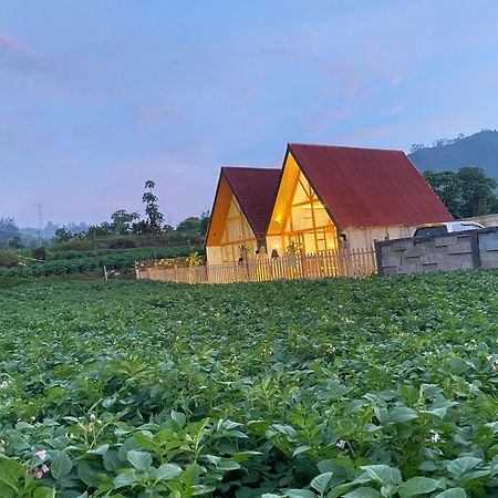 Martos Villa Dieng Diyeng Buitenkant foto