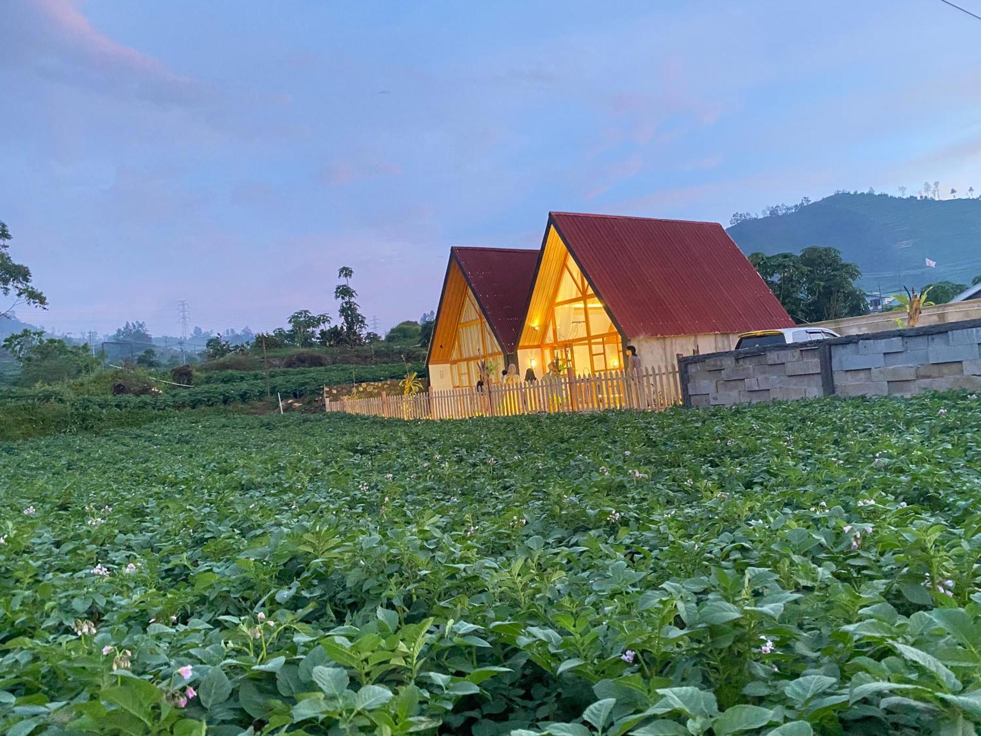 Martos Villa Dieng Diyeng Buitenkant foto